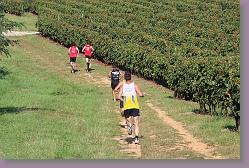 Trial Carignan 131 * 680 x 453 * (196KB)